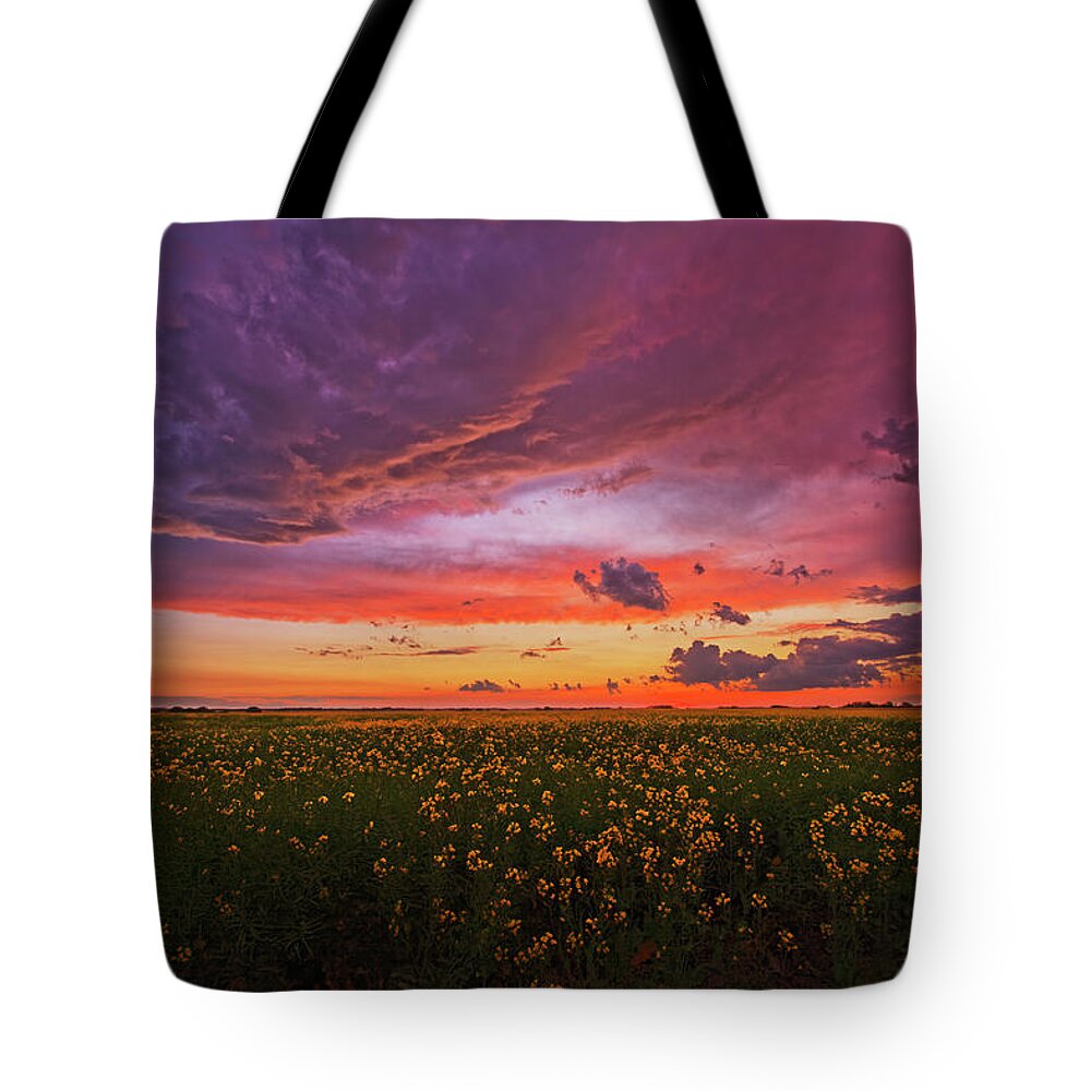 Storm Tote Bag featuring the photograph After the Storm by Dan Jurak