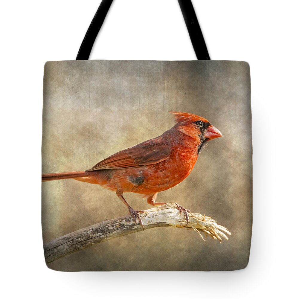 Bird Tote Bag featuring the photograph Afternoon Cardinal by Bill and Linda Tiepelman