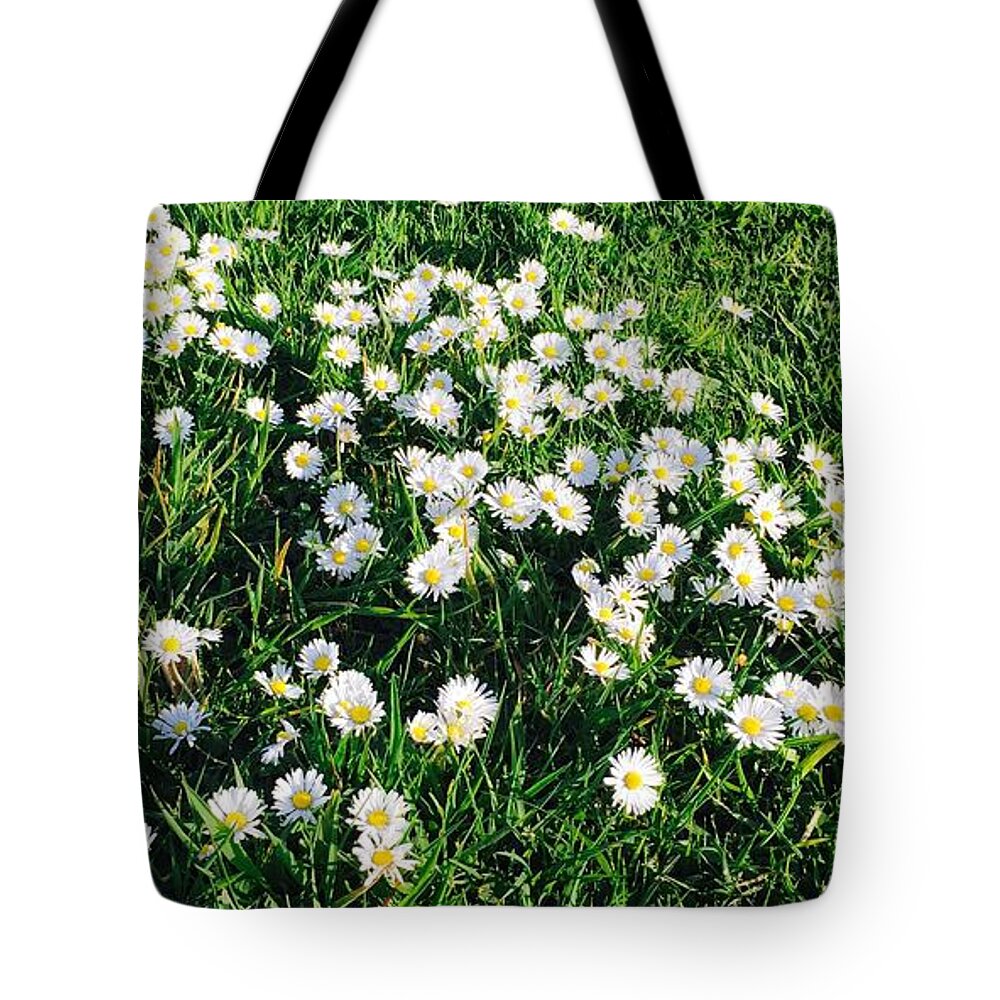 Daisies Tote Bag featuring the photograph Afternoon Daisies by Ingrid Van Amsterdam