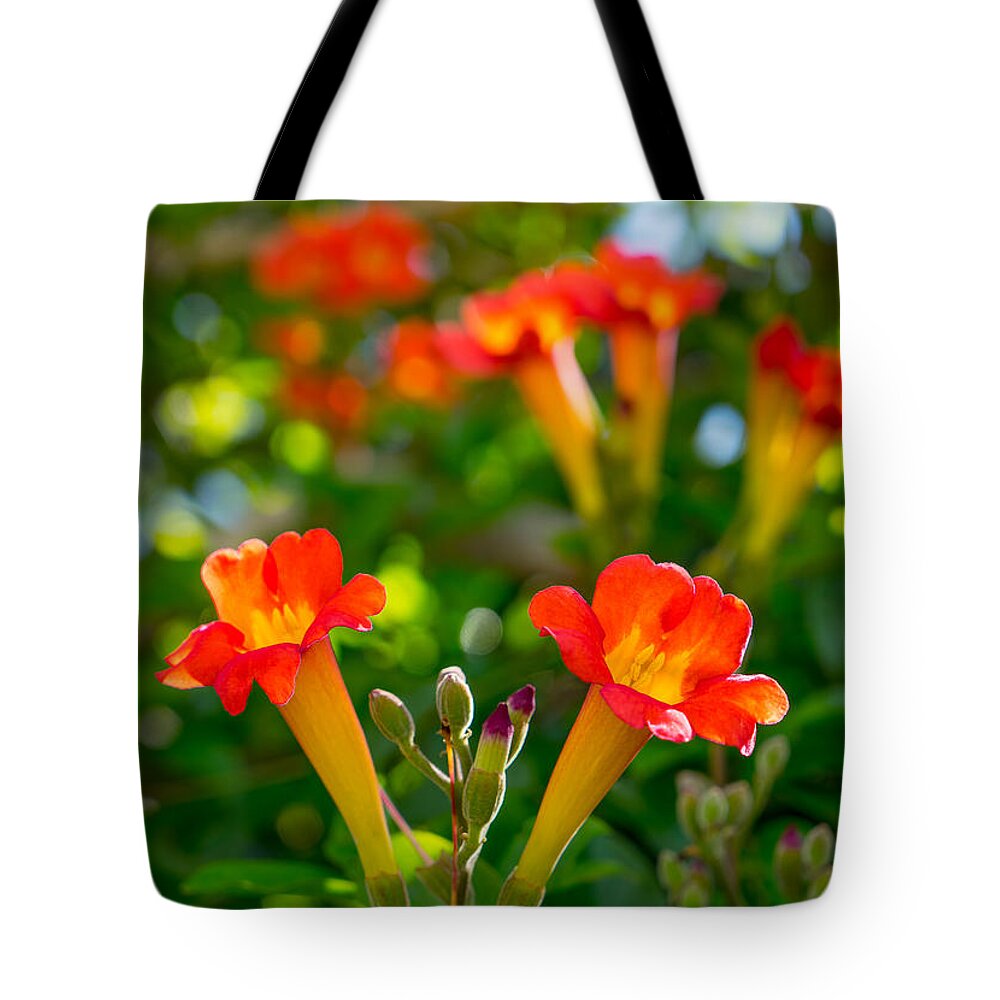 Flowers Tote Bag featuring the photograph Afternoon Flowers by Derek Dean