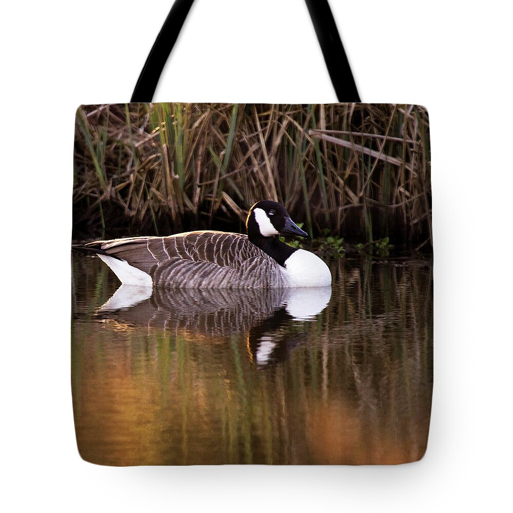 Sunset Tote Bag featuring the photograph Afternoon Relax by Ang El