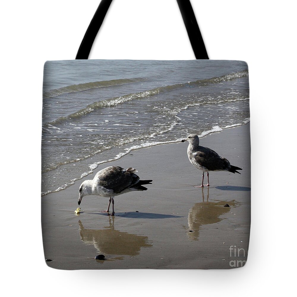Beach Tote Bag featuring the photograph Afternoon Snack by Kelly Holm