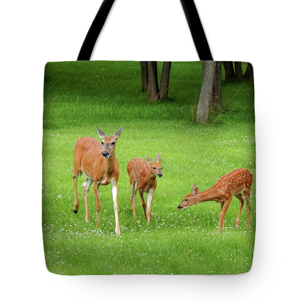 Summer Tote Bag featuring the photograph Afternoon Visit by Wild Thing