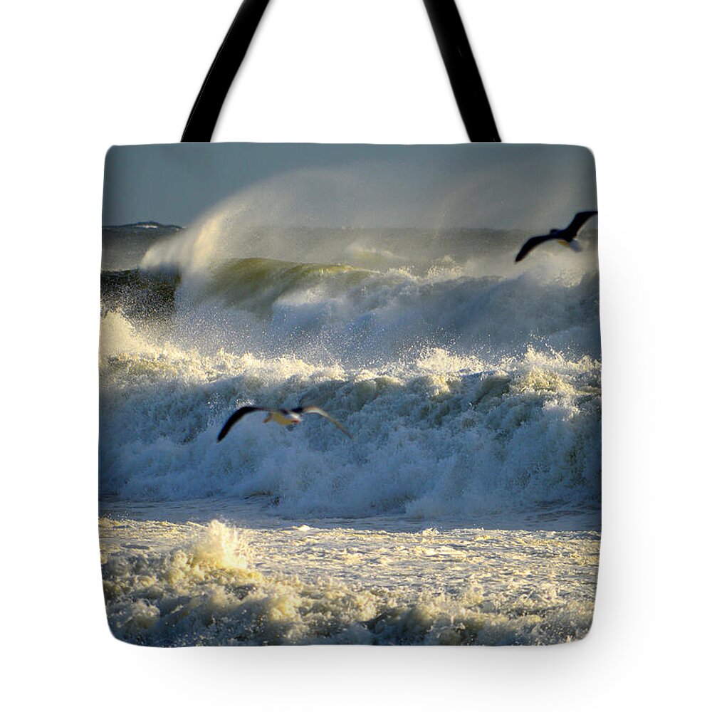Nauset Beach Tote Bag featuring the photograph Against The Wind - Nauset Beach by Dianne Cowen Cape Cod Photography