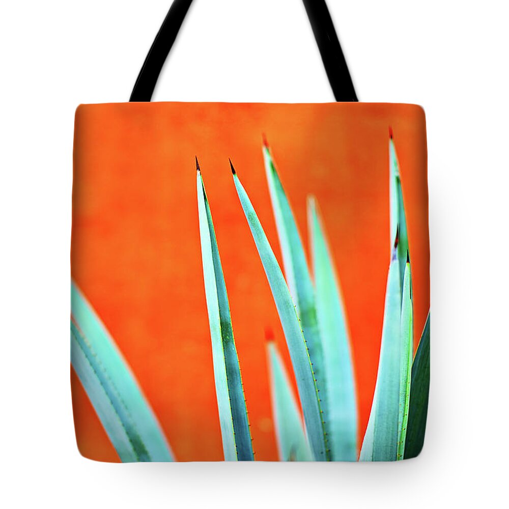 Surfing Tote Bag featuring the photograph Agave 2 by Nik West
