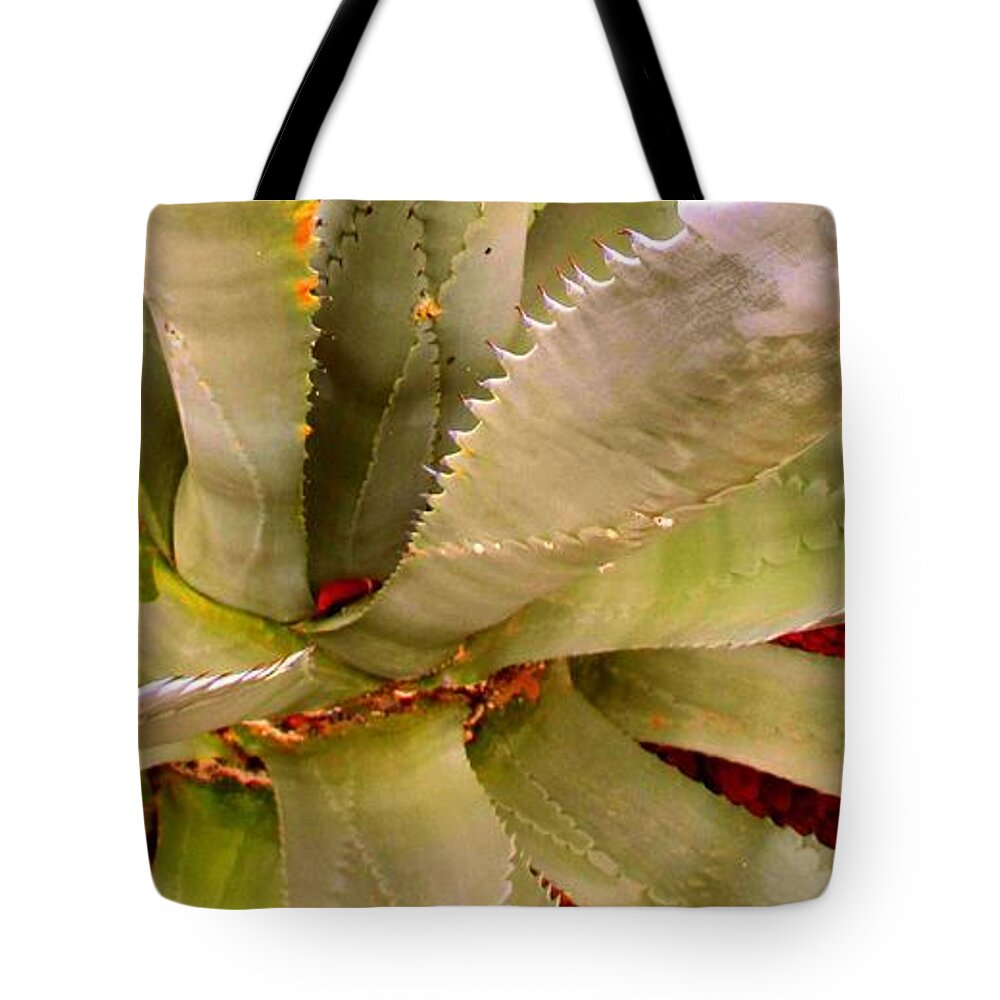  Tote Bag featuring the photograph Agave by Donna Spadola