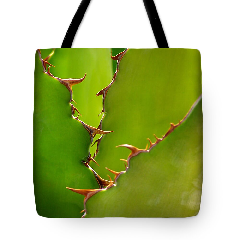 Arizona Tote Bag featuring the photograph Agave Shark by Steven Myers