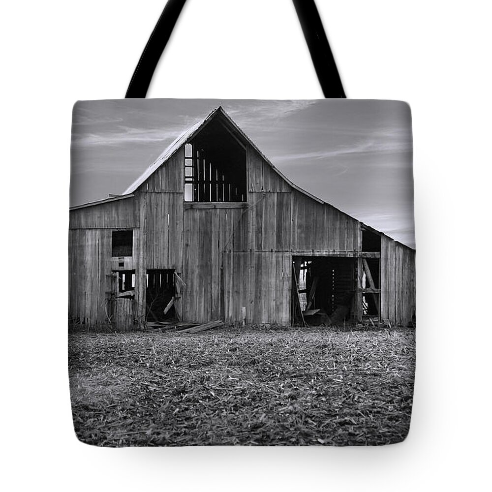 Photography Tote Bag featuring the photograph Aged and Forgotten Barn by Theresa Campbell