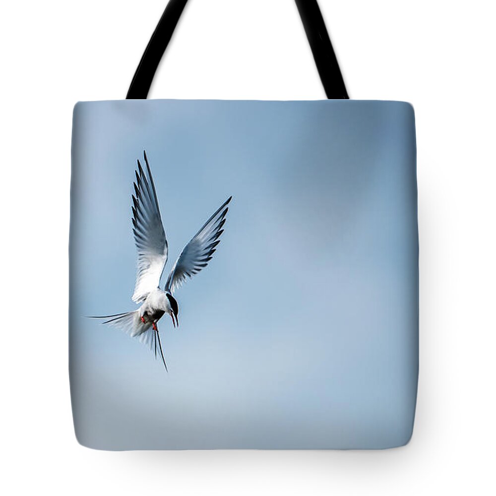 Aha A Fish Tote Bag featuring the photograph Aha a fish by Torbjorn Swenelius