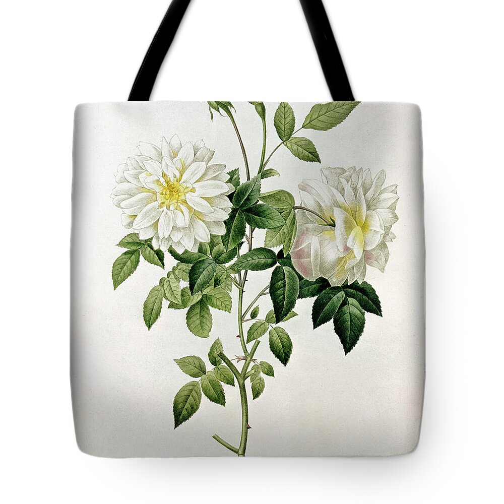 Tea Tote Bag featuring the painting Aime Vibere by Pierre Joseph Redoute