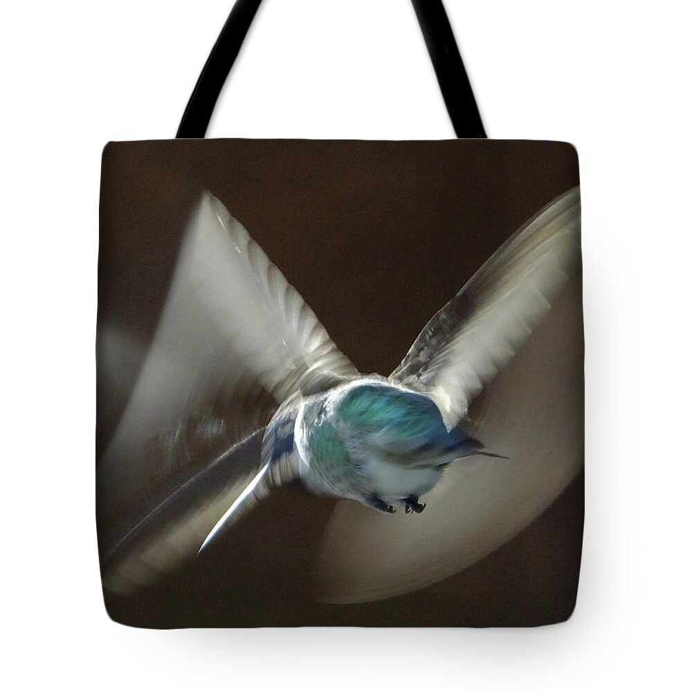 Birds Tote Bag featuring the photograph Air Dance by Mark Alan Perry