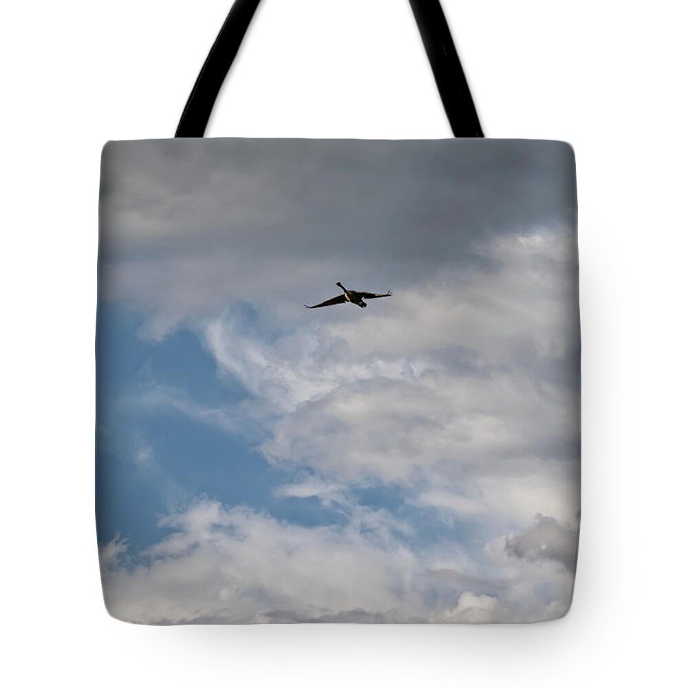 Airplane Blueprint Tote Bag featuring the photograph Airplane Blueprint - by Julie Weber