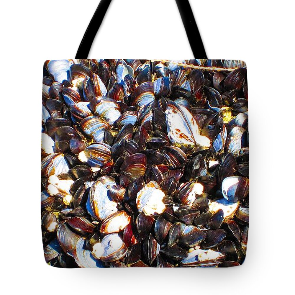 Ketchikan Tote Bag featuring the photograph Alaska clams2 by Laurianna Taylor