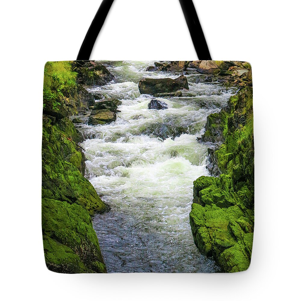 Seascape Tote Bag featuring the photograph Alaskan Creek by Jason Brooks