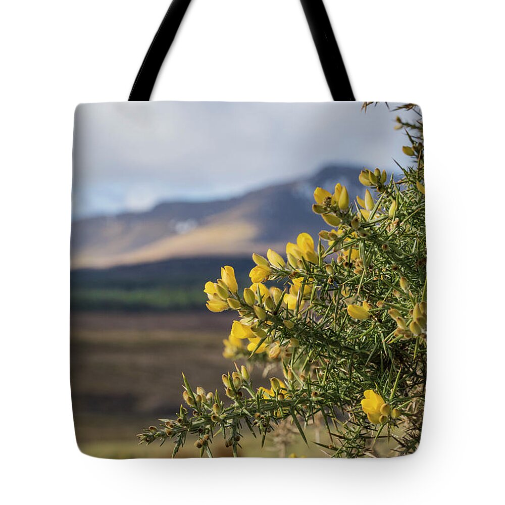 Gorse Tote Bag featuring the photograph Alba by Holly Ross