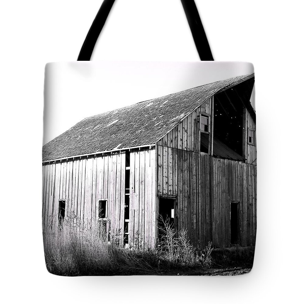 Barn Tote Bag featuring the photograph Albert City Barn 3 by Julie Hamilton