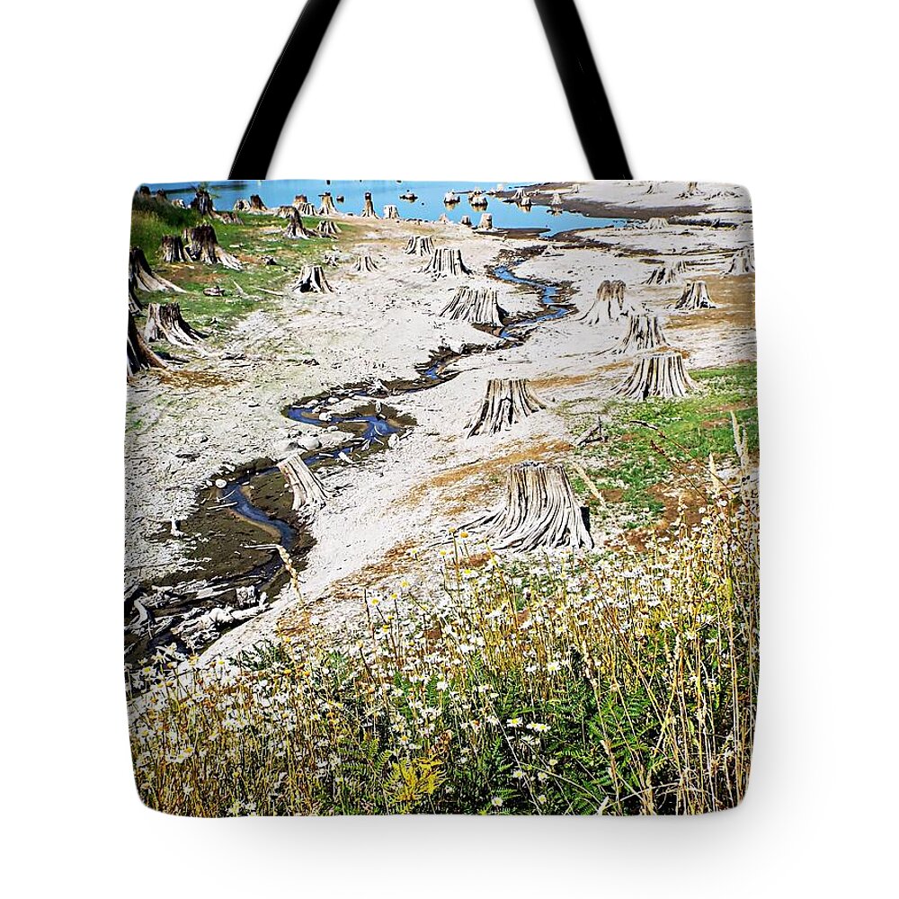 United States Tote Bag featuring the photograph Alder Lake Stumps by Joseph Hendrix