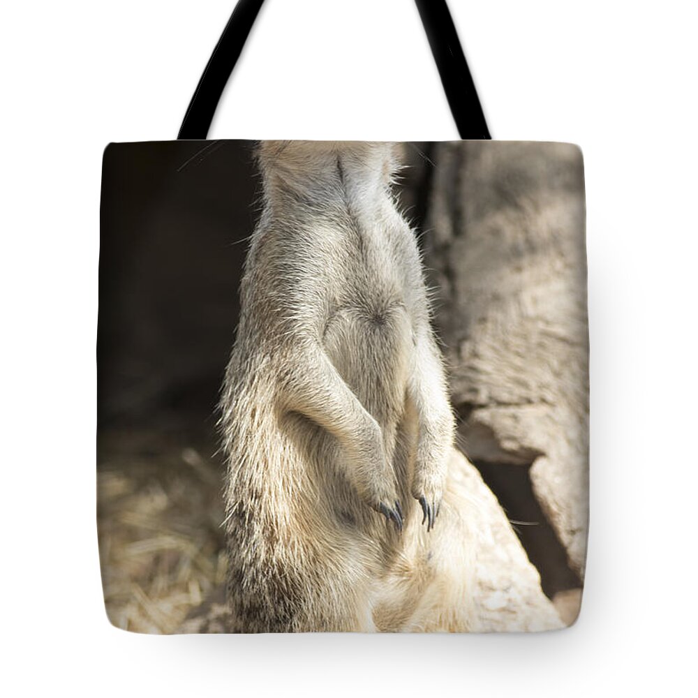 Animal Tote Bag featuring the photograph Alert by Masami Iida