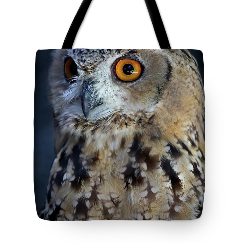 Owl Tote Bag featuring the photograph Alert by Steve Parr