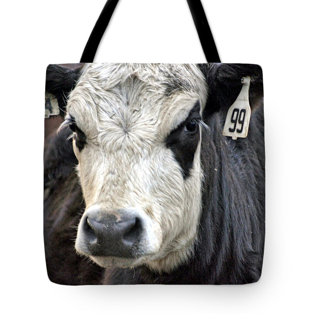 Cow Tote Bag featuring the photograph Alice by Cricket Hackmann