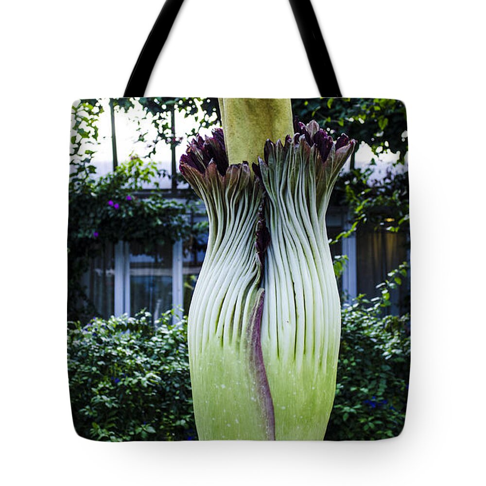 Alice Tote Bag featuring the photograph Alice Through the Looking Glass by Deborah Smolinske