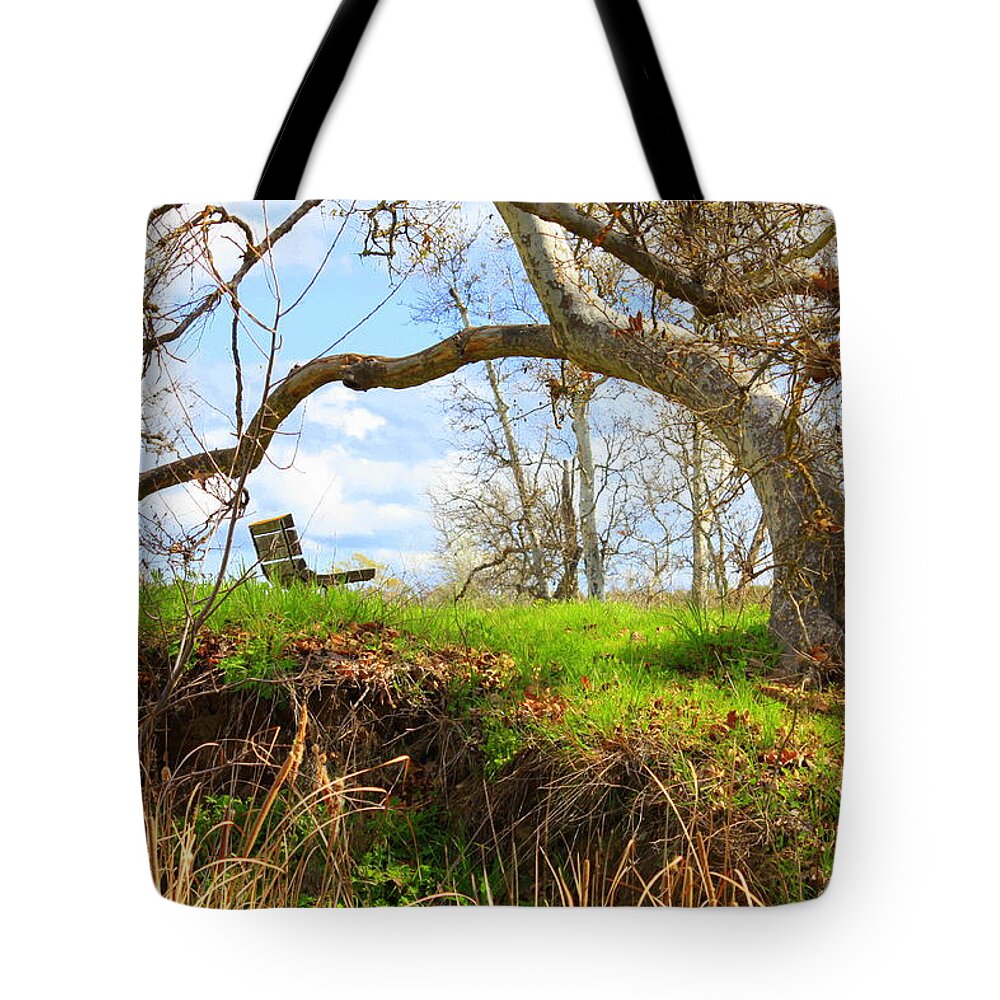 Spring Landscape Tote Bag featuring the photograph Alice's Wonderland by Carol Groenen