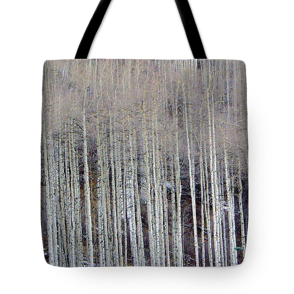 Aspen Trees Tote Bag featuring the photograph All Aspen by Carol Sweetwood