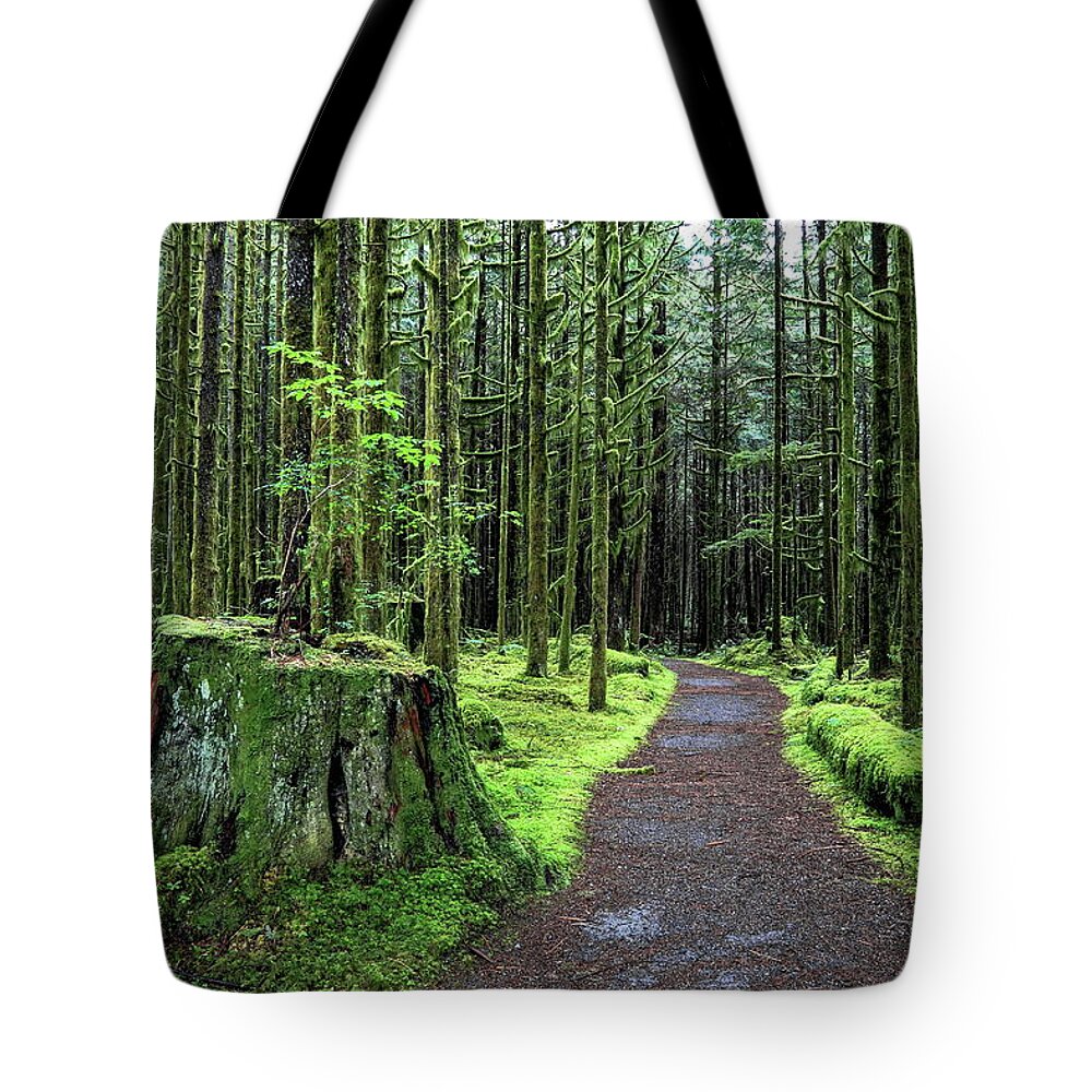 Alex Lyubar Tote Bag featuring the pyrography All covered with green moss magic forest by Alex Lyubar
