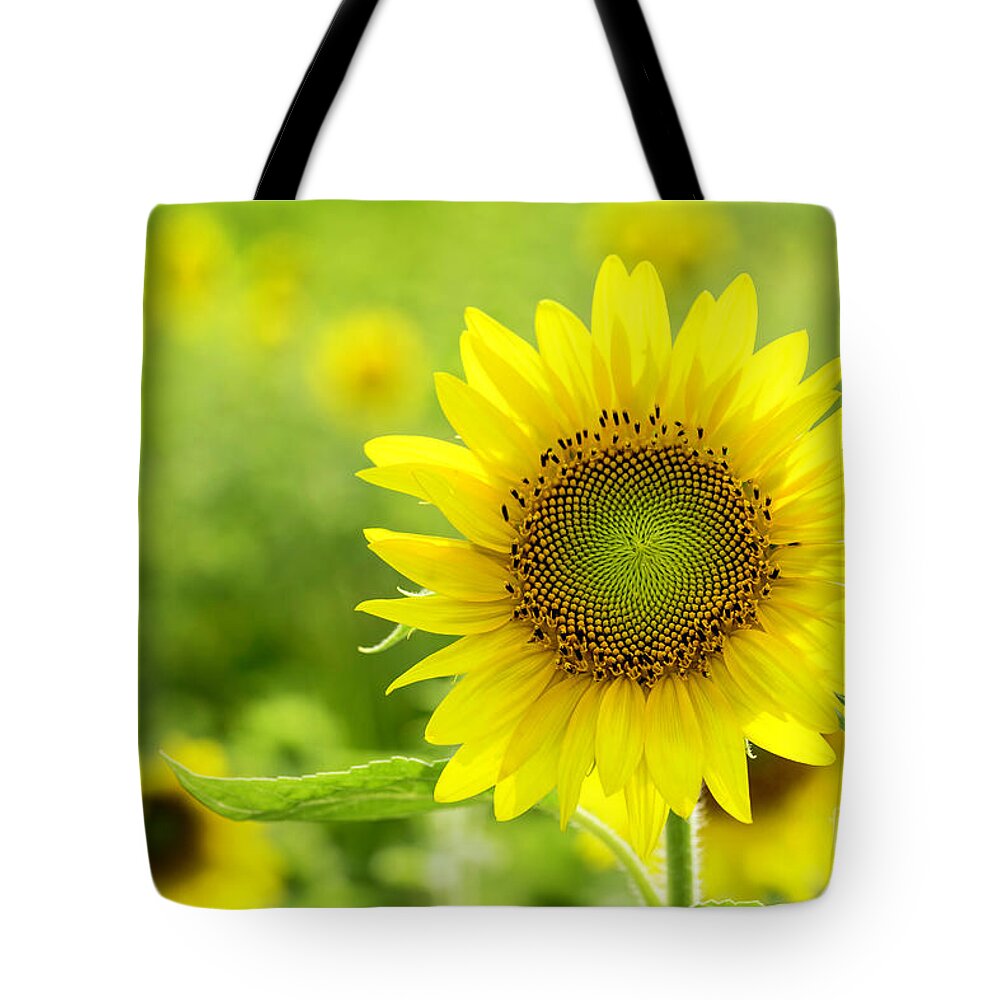 ©cathy Donohoue Photography Tote Bag featuring the photograph All Is Well With My Soul by Cathy Donohoue