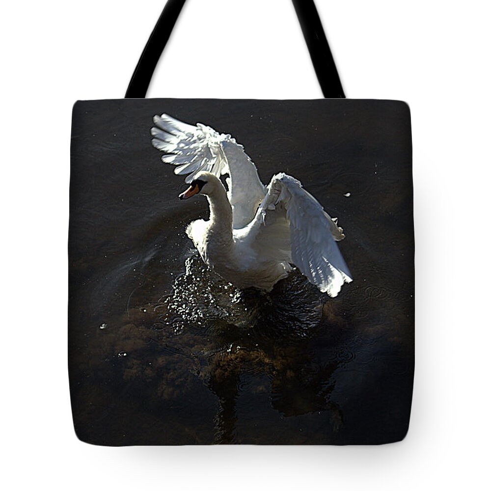 Swan Tote Bag featuring the photograph All of a flap by Andy Thompson