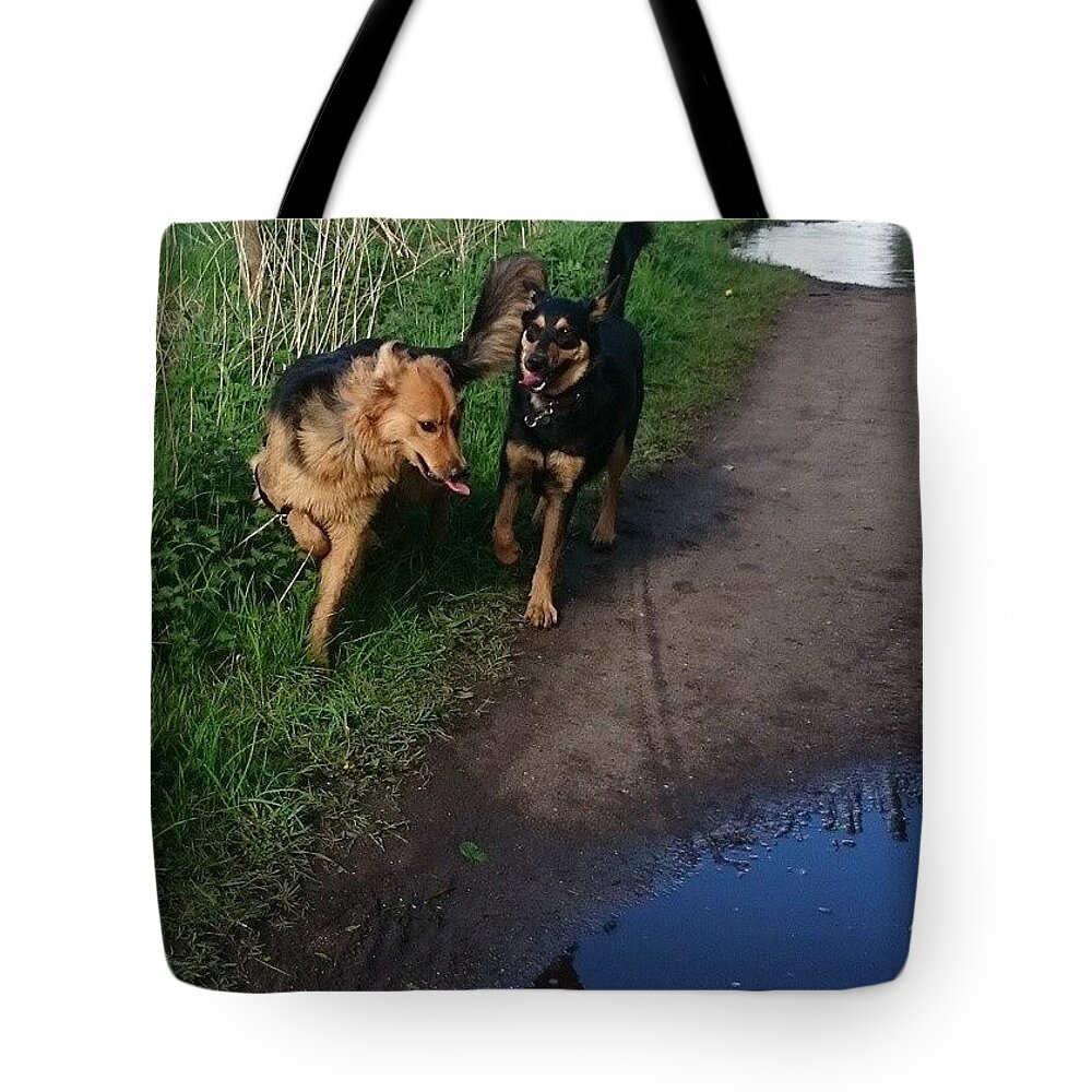 Petstagram Tote Bag featuring the photograph All Play And No Work! #dogs #gsd by Abbie Shores