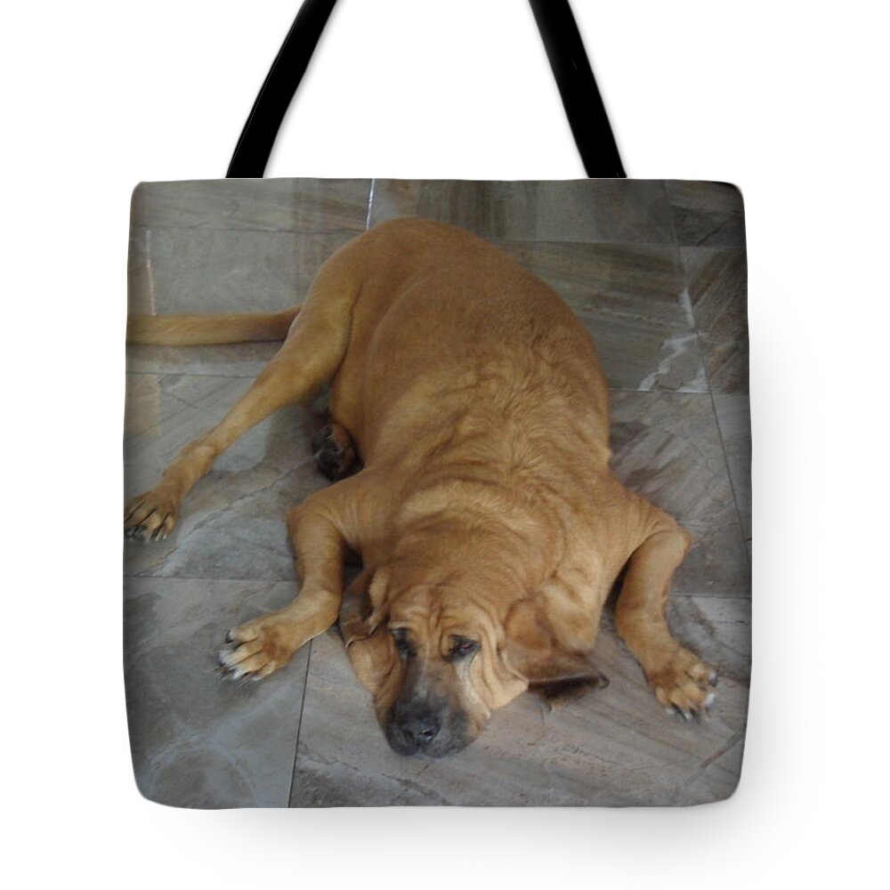 Bloodhound Tote Bag featuring the photograph All Pooped Out by Val Oconnor