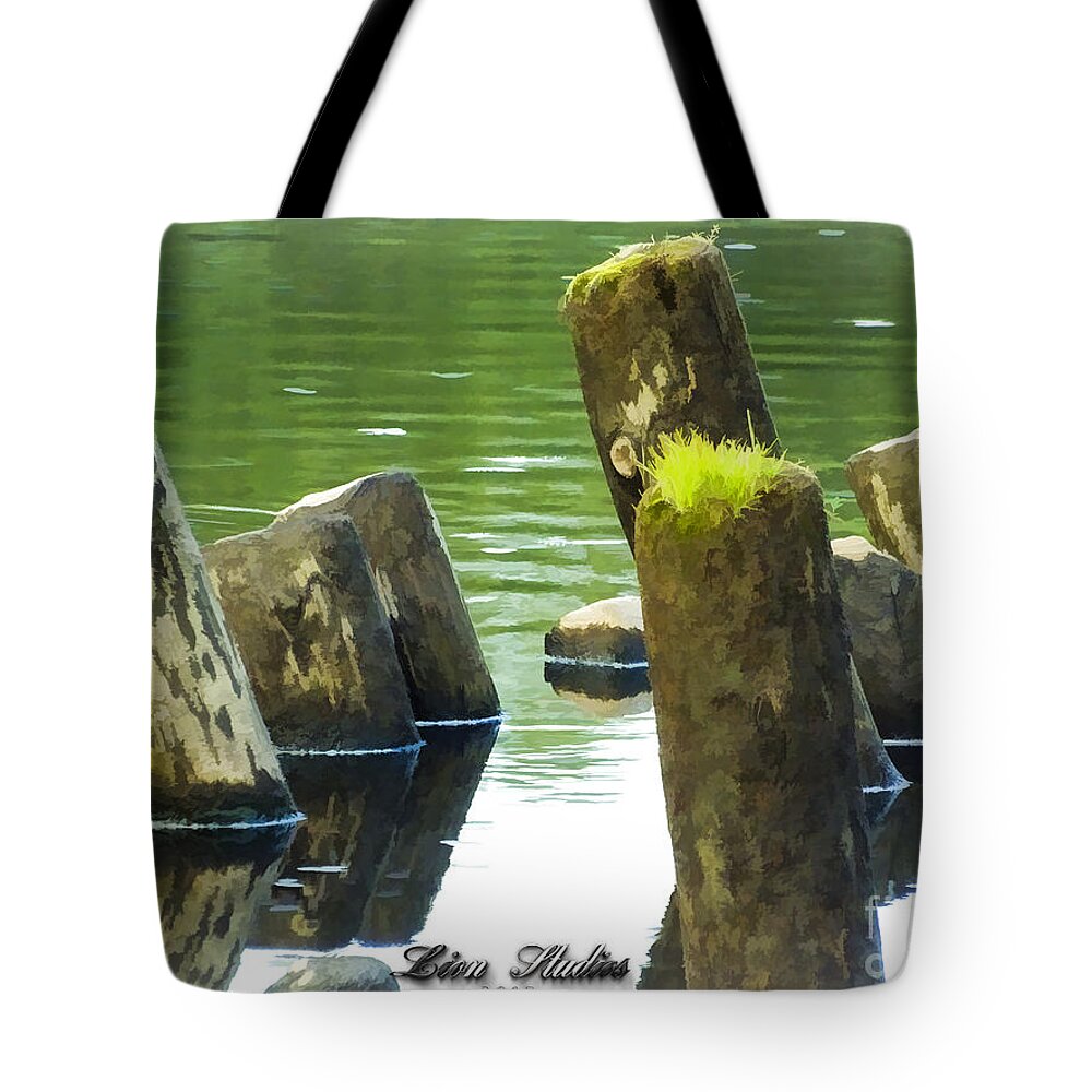 Photoshop Tote Bag featuring the photograph All That Remains by Melissa Messick