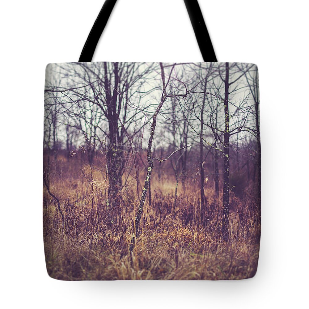 Nature Tote Bag featuring the photograph All The While by Shane Holsclaw