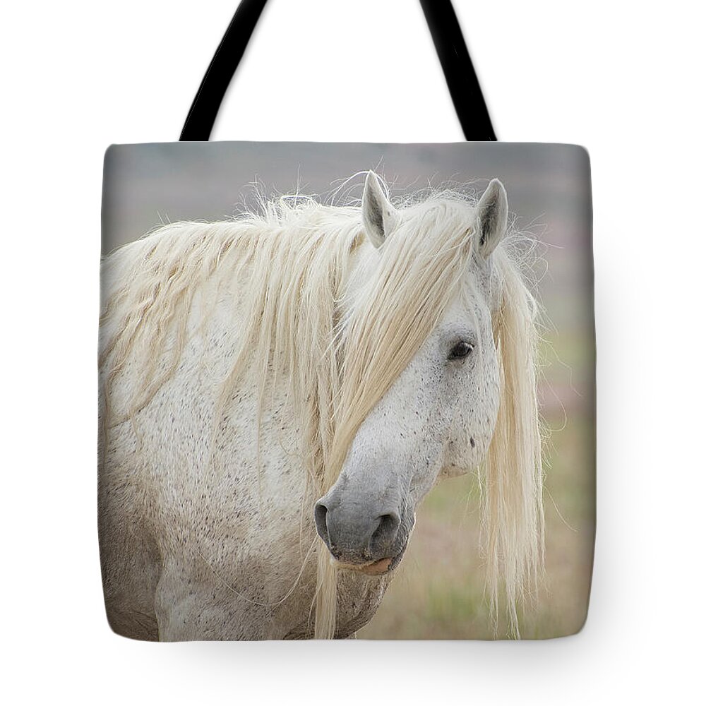 Nikon Tote Bag featuring the photograph All time favorite by Nicole Markmann Nelson