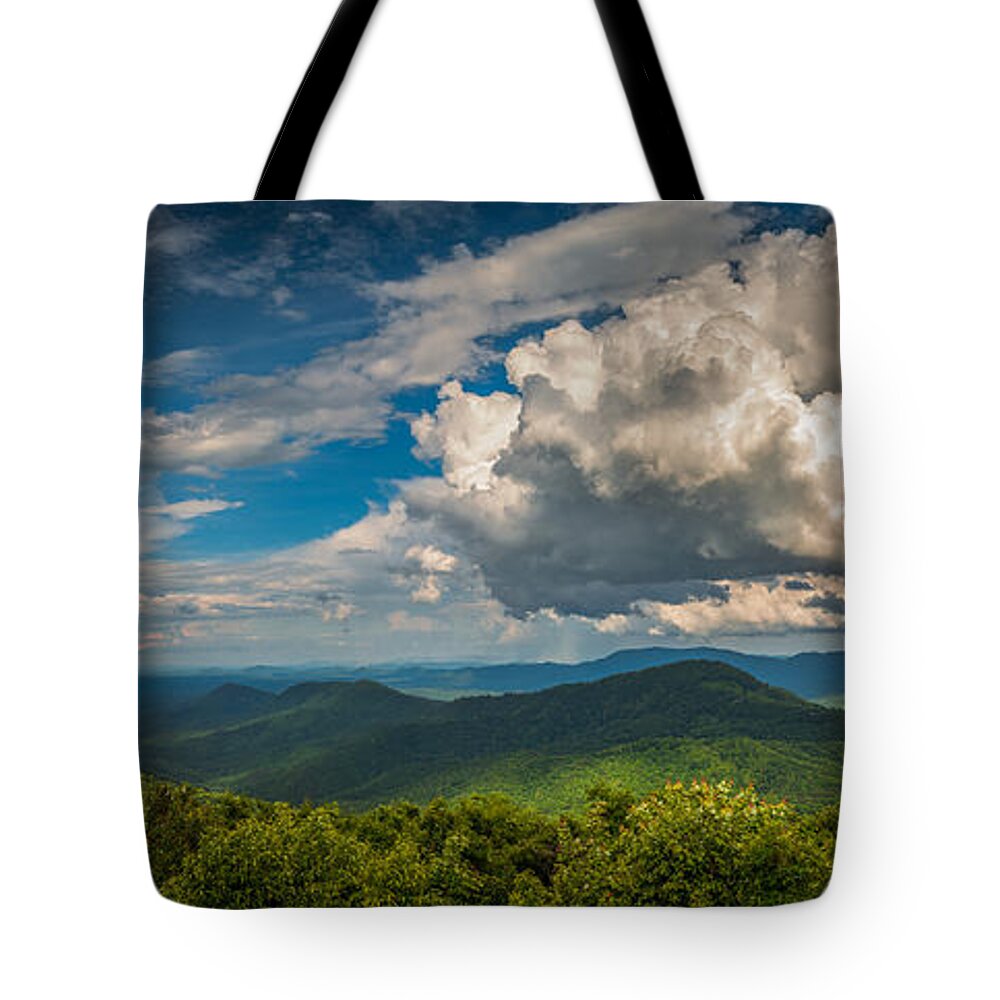 Asheville Tote Bag featuring the photograph All Weather by Joye Ardyn Durham