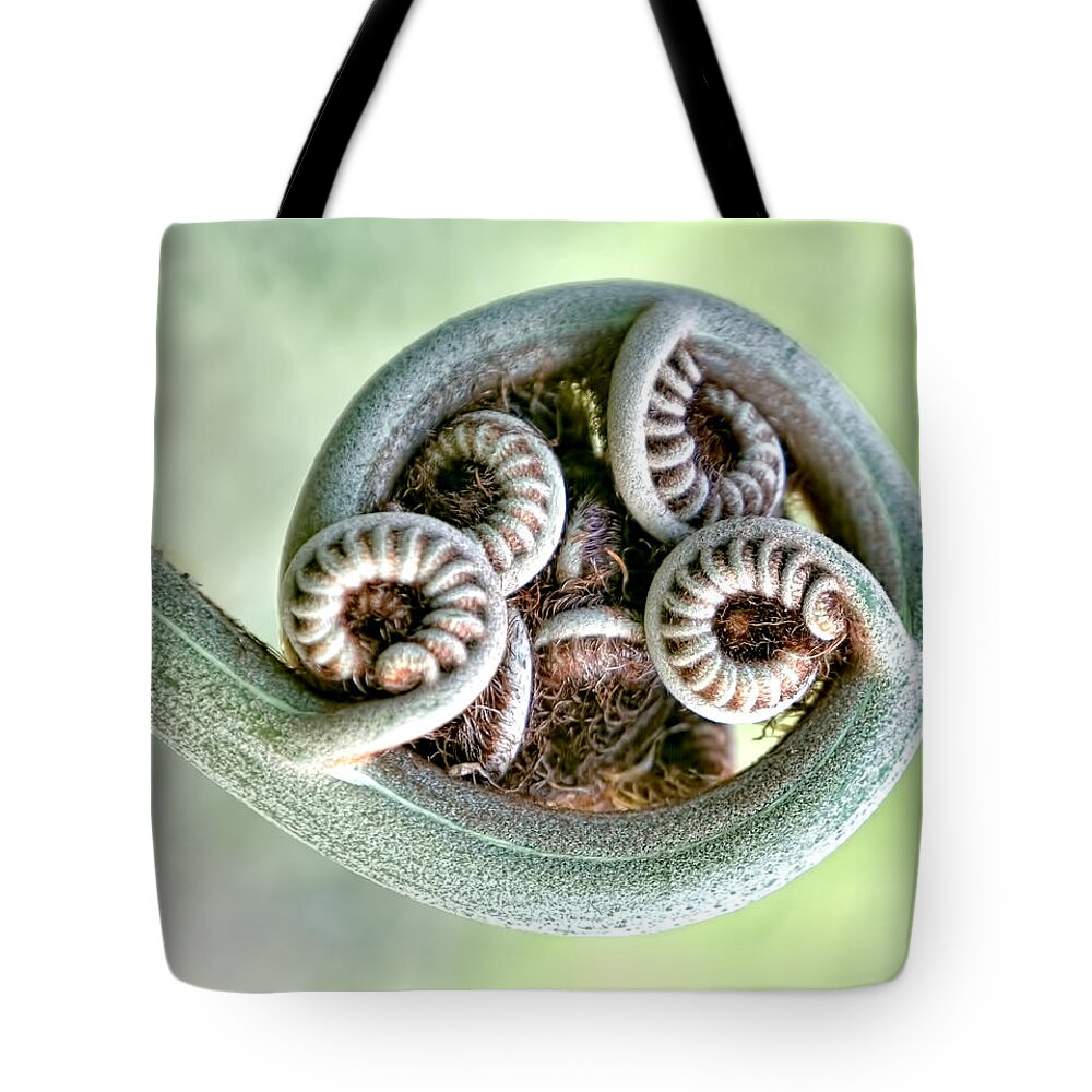 Patricia Sanders Tote Bag featuring the photograph All Wound Up by Her Arts Desire