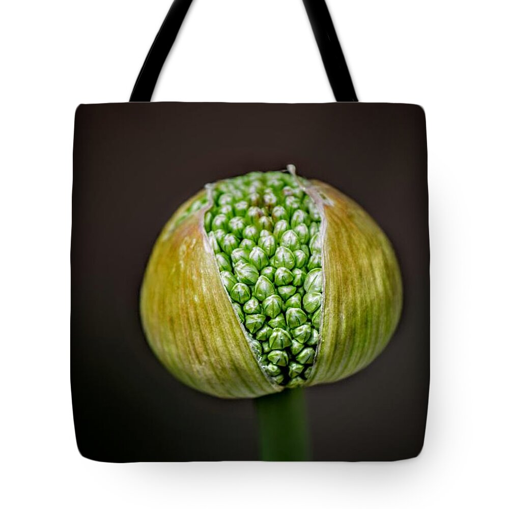 Allium Tote Bag featuring the photograph Allium Bud by Michael Brungardt
