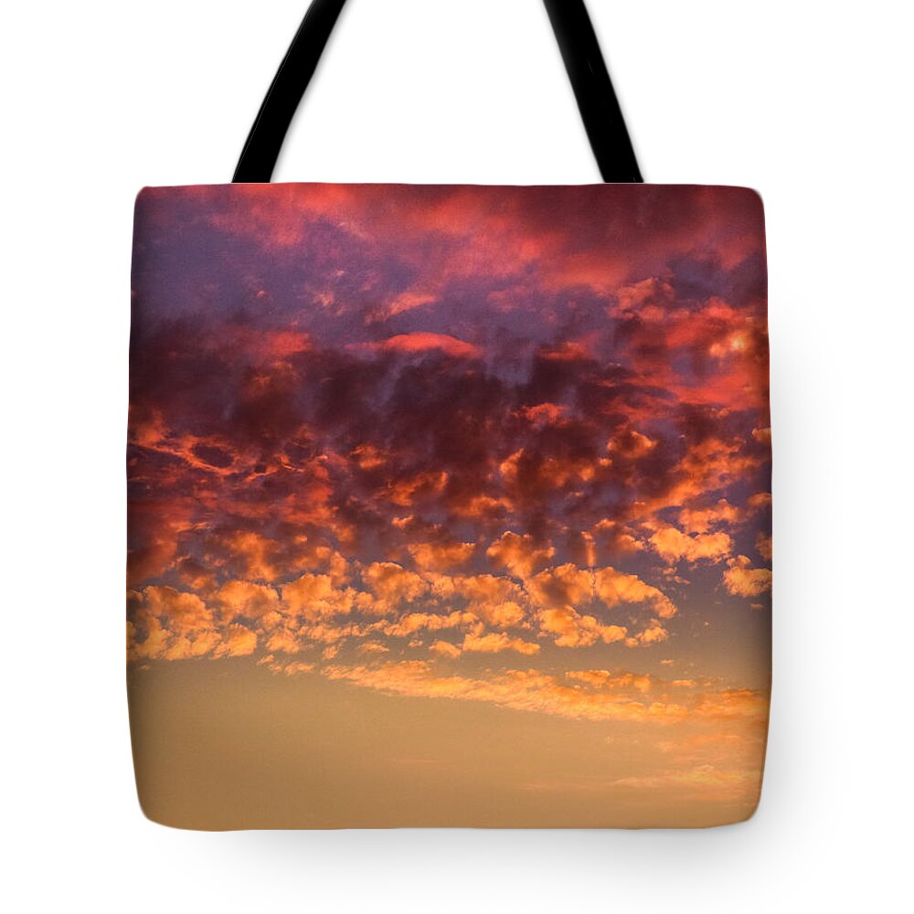 California Tote Bag featuring the photograph Almost Autumn by Pamela Newcomb