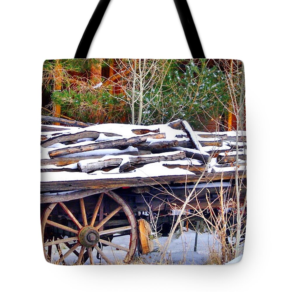 Christmas Tote Bag featuring the photograph Almost Christmas by Marilyn Diaz