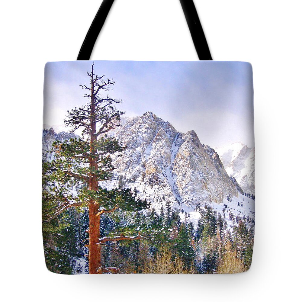 Sky Tote Bag featuring the photograph Almost Heaven by Marilyn Diaz