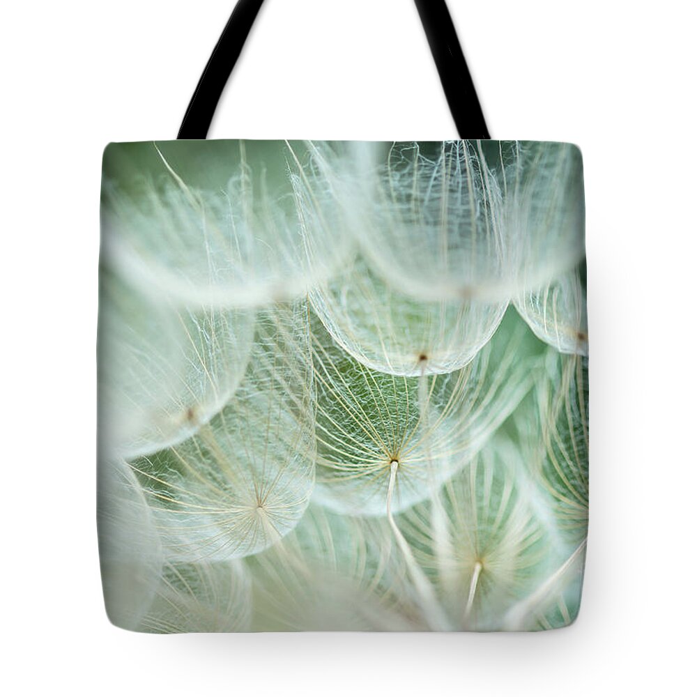 Tragopogon Tote Bag featuring the photograph Almost ready to fly 1 by Mika Sato