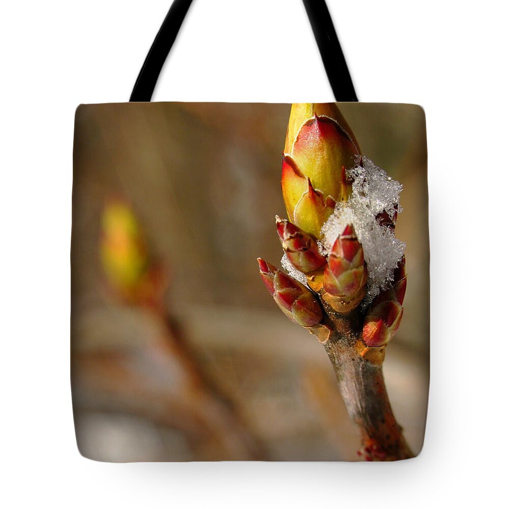Tree Tote Bag featuring the photograph Almost There by Juergen Roth