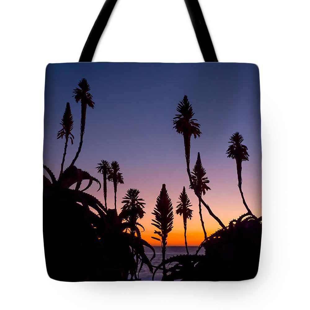 Aloe Tote Bag featuring the photograph Aloe Sunset by Derek Dean