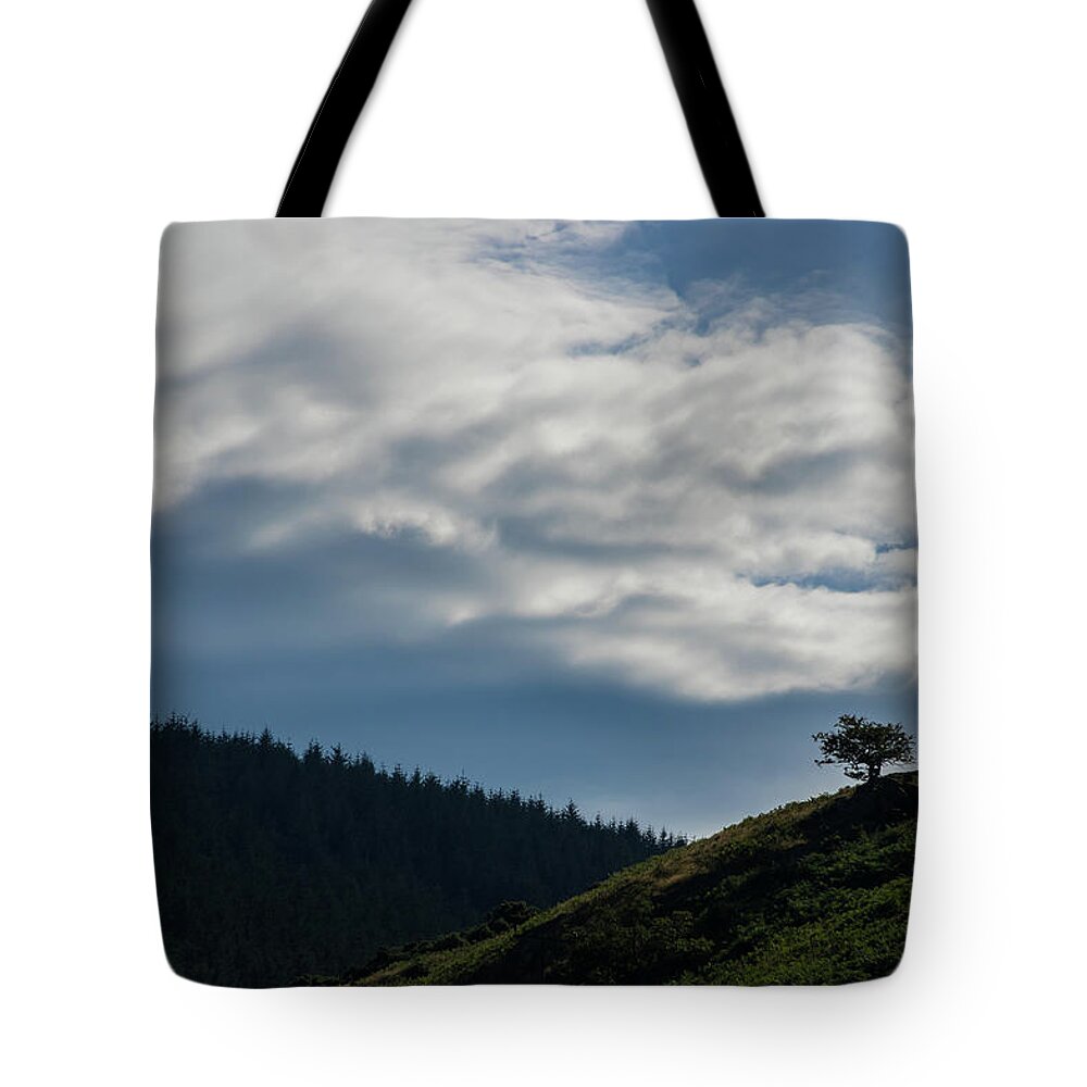 Art Tote Bag featuring the photograph Alone by Ian Thompson