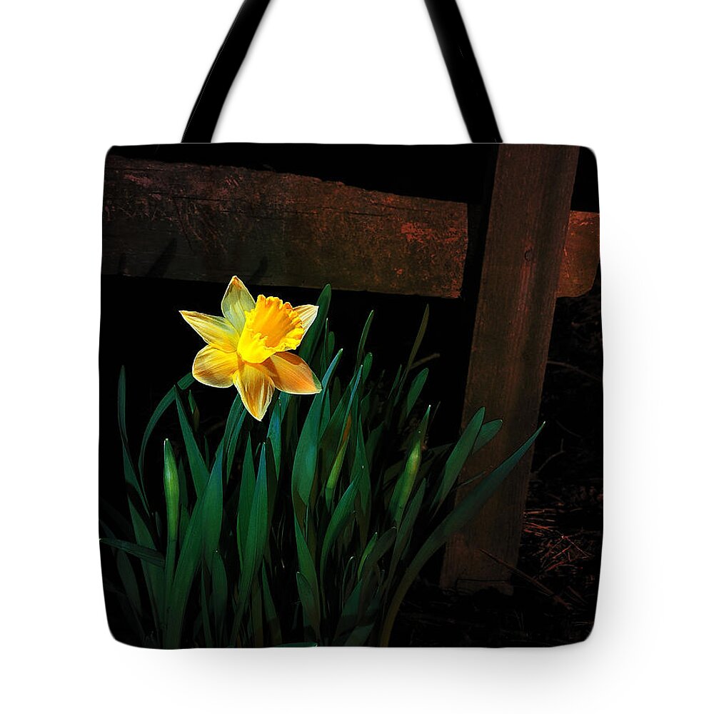 Daffodil Tote Bag featuring the photograph Alone In The Dark by Mark Fuller
