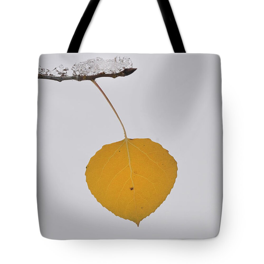 Nature Tote Bag featuring the photograph Alone In The Snow by Ron Cline