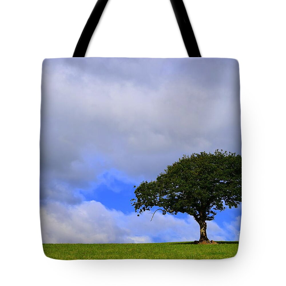 Landscape Tote Bag featuring the photograph Alone on a hill by Joe Cashin