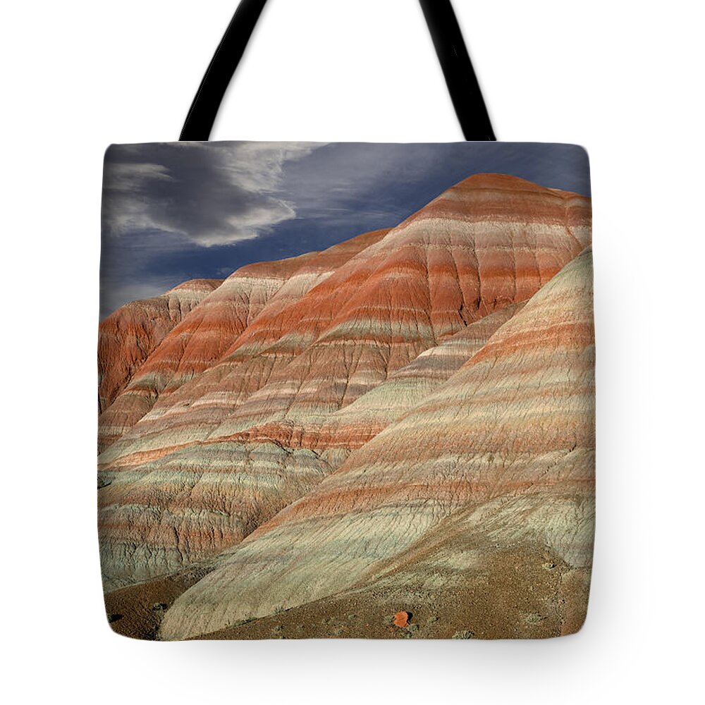 Paria Tote Bag featuring the photograph Along the Paria by Kathleen Bishop