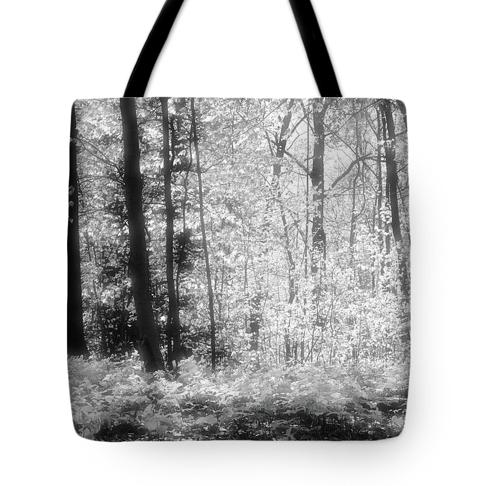 Abstract Tote Bag featuring the photograph Along The Top BW by Lyle Crump